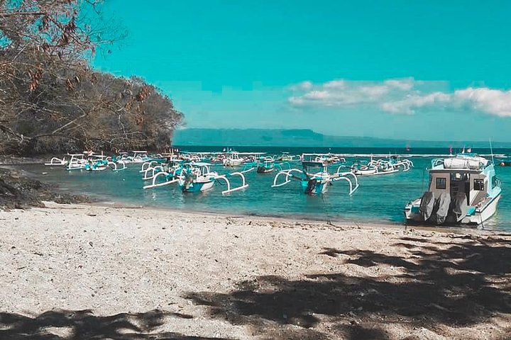 All Inclusive: Schnorcheln in der Blauen Lagune von Bali, Mittagessen und Transport