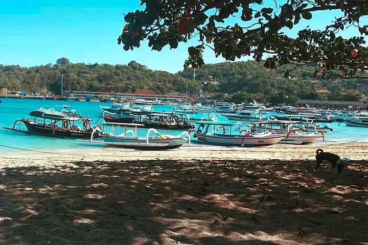 All Inclusive: Schnorcheln in der Blauen Lagune von Bali, Mittagessen und Transport