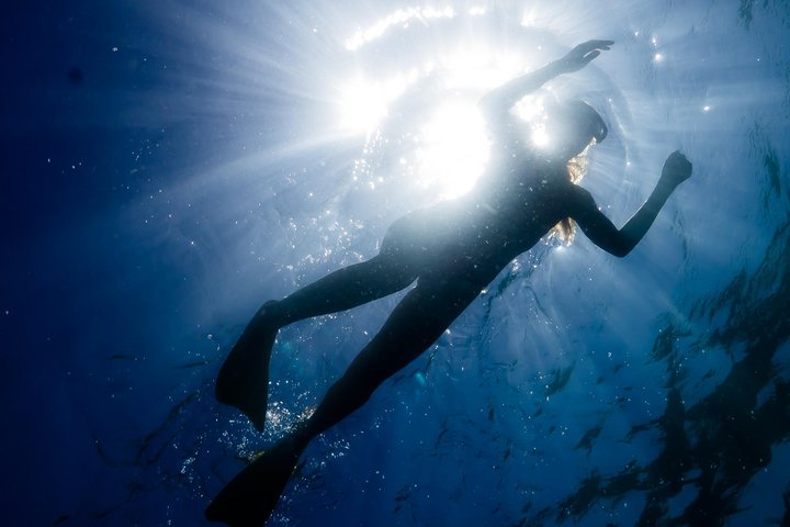 6 horas de buceo de arrecife de Ningaloo y aventura de vida silvestre