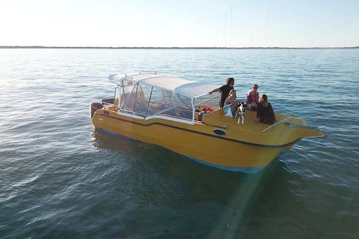 2,5 timmars Snorkel-/sköldpaddstur på Ningaloo Reef, Exmouth