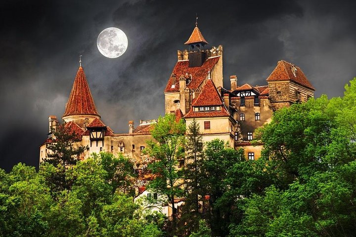 Um dia de viagem Bear Sanctuary, Castelo Dracula, Rasnov Fortress from Brasov