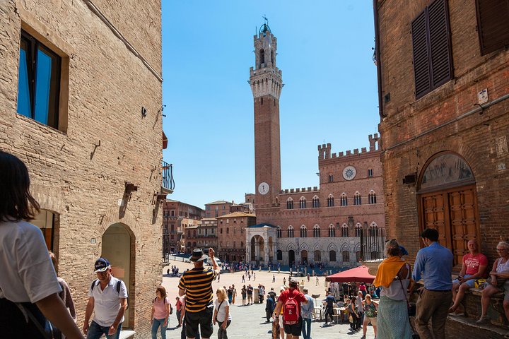 Excursion d'une journée en Toscane au départ de Florence : Sienne, San Gimignano, Pise et déjeuner dans une cave
