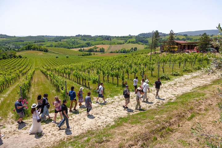 Excursion d'une journée en Toscane au départ de Florence : Sienne, San Gimignano, Pise et déjeuner dans une cave