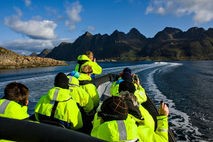 Havsörnssafari från Svolvær till Trollfjorden
