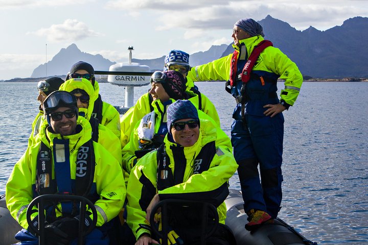 Havsörnssafari från Svolvær till Trollfjorden