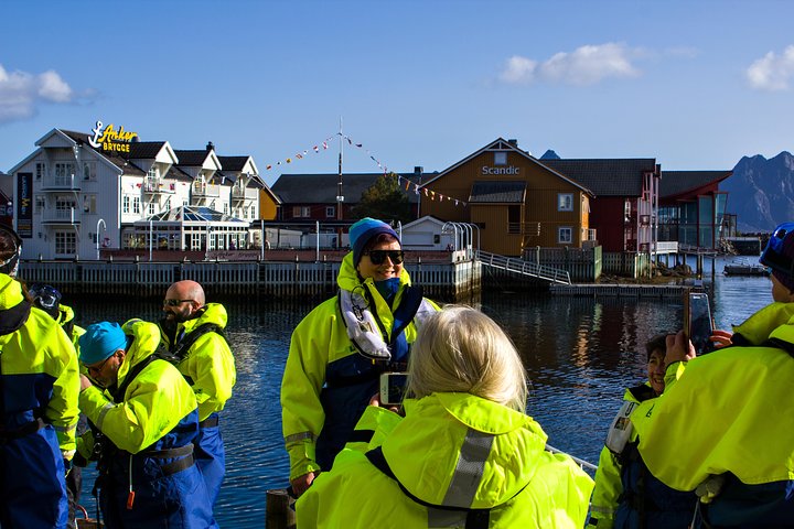 Havsörnssafari från Svolvær till Trollfjorden