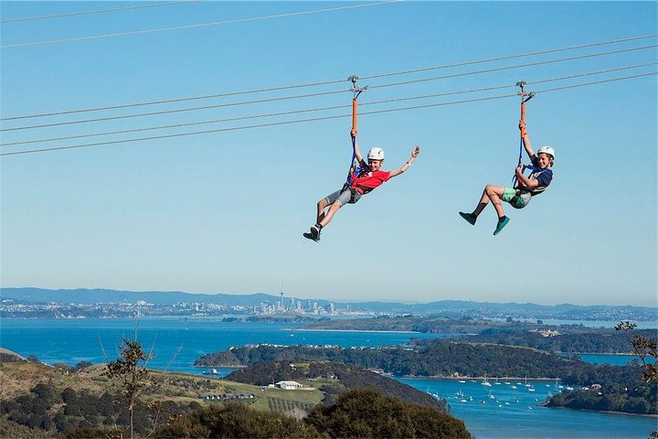 Waiheke Island: Zipline og skogvandring
