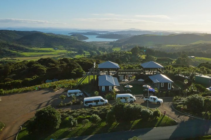 Waiheke Island: Zipline og skogvandring