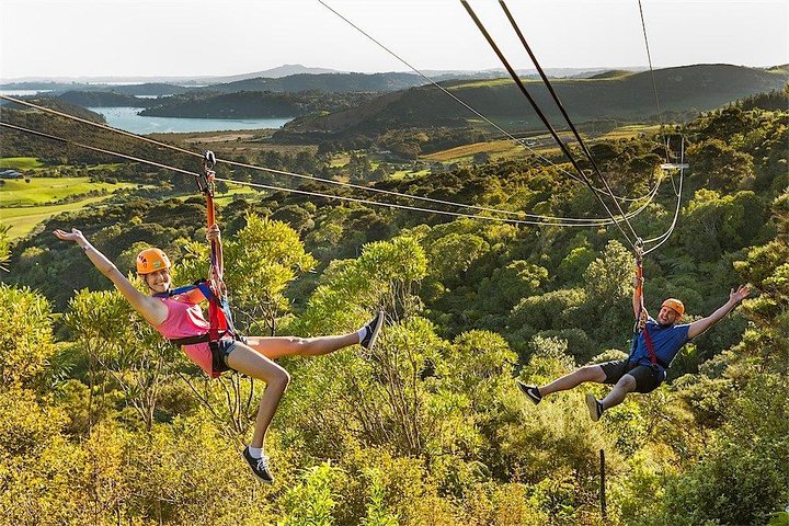 Waiheke Island: Zipline og skogvandring