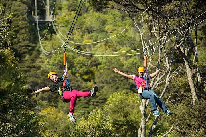Waiheke Island: Zipline og skogvandring