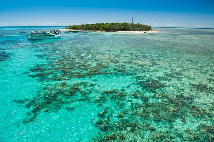 Green Island Reef Cruise - Halvdagstur från Cairns