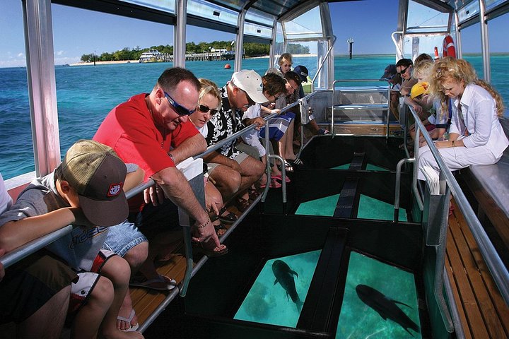 Green Island Reef Cruise - Halvdagstur från Cairns