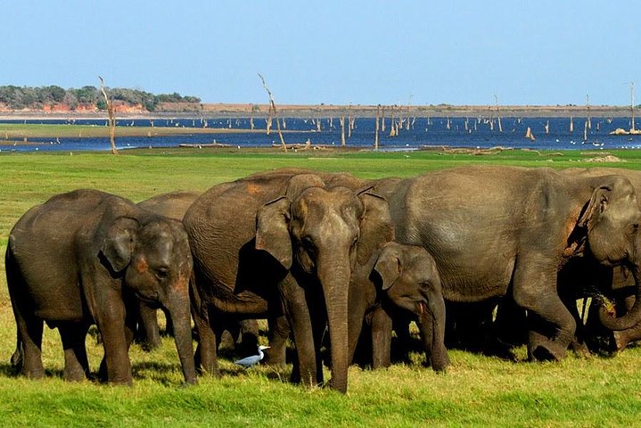 Private Jeep Safari To one of a Best National Park
