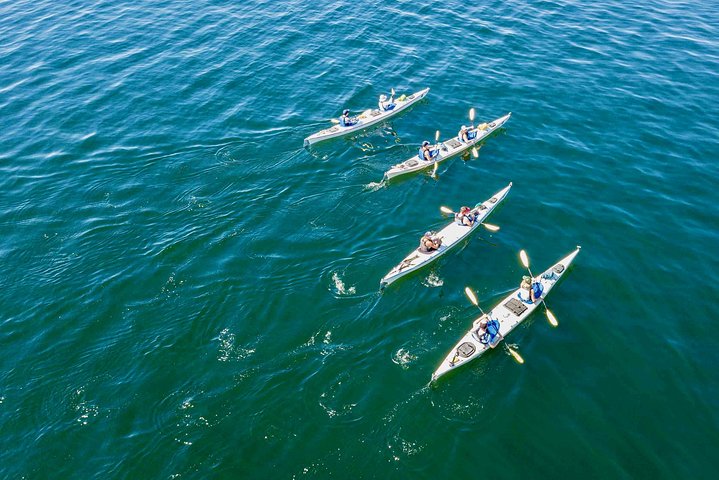 Avventura in kayak di un'intera giornata sull'isola di San Juan