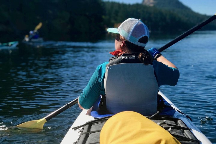 Avventura in kayak di un'intera giornata sull'isola di San Juan