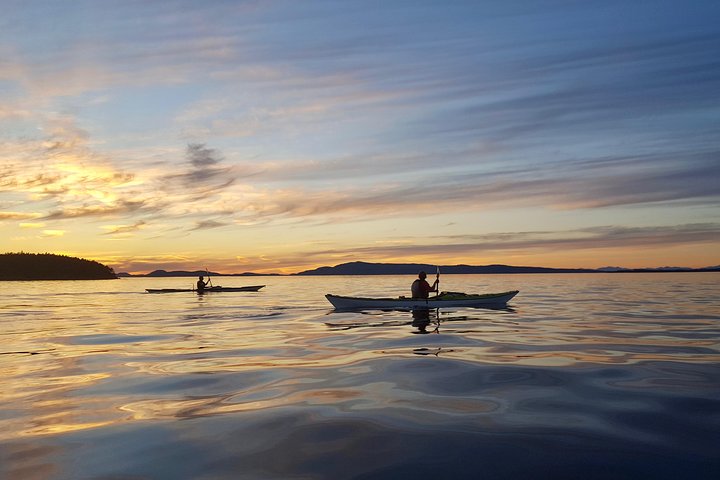 Avventura in kayak di un'intera giornata sull'isola di San Juan