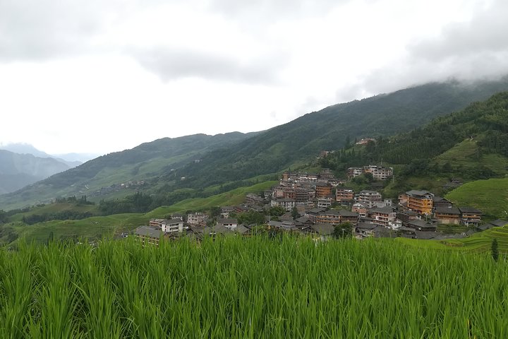 Terrazze di riso Longji con tour privato di un giorno al Minority Village