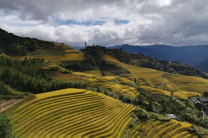 Terrazze di riso Longji con tour privato di un giorno al Minority Village