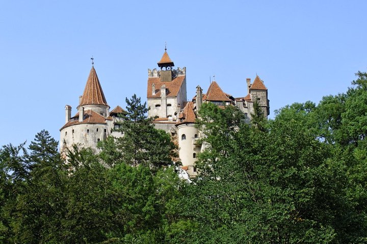 Um dia de viagem Bear Sanctuary, Castelo Dracula, Rasnov Fortress from Brasov