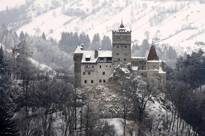 Um dia de viagem Bear Sanctuary, Castelo Dracula, Rasnov Fortress from Brasov