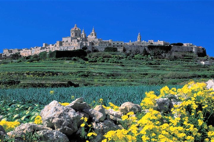 Mdina, Rabat, Dingli klipper, San Anton haver, Ta 'Qali & Mosta guidet tur