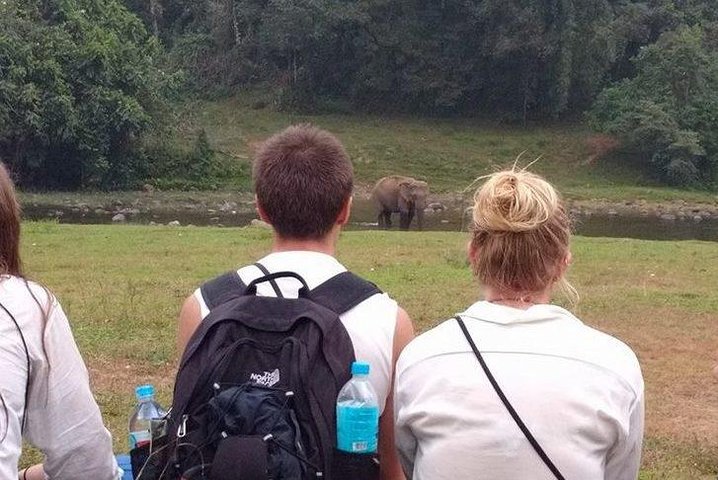 Visita guiada por la vida de Anakulam Wild Elephant Village (Por Munnar Info)