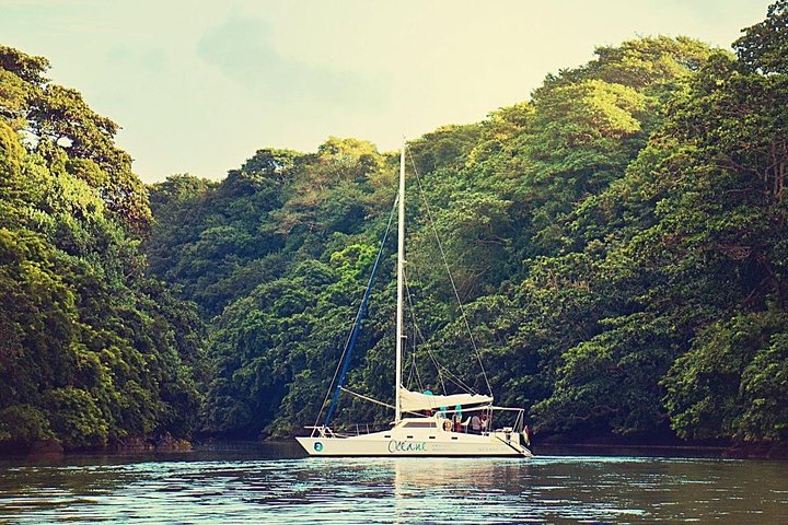 Catamaran Adventure Full Day: Ile aux cerfs, GRSE Waterfall, Snorkelen & BBQ-lunch