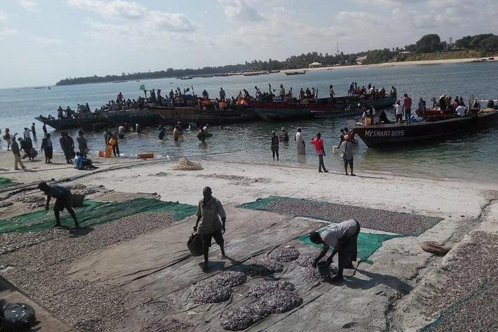 Dar es Salaam Stadtrundfahrt - Alltag