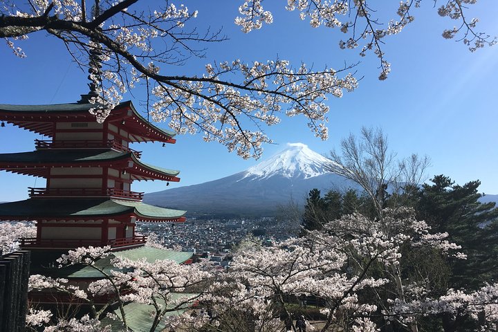 Mt. Fuji Skjulte Perler & Gotemba Outlets med Lokal Vejleder & Chauffør