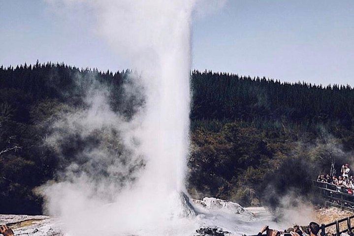 Rotorua baserad liten grupp morgontur Waimangu och Wai O Tapu