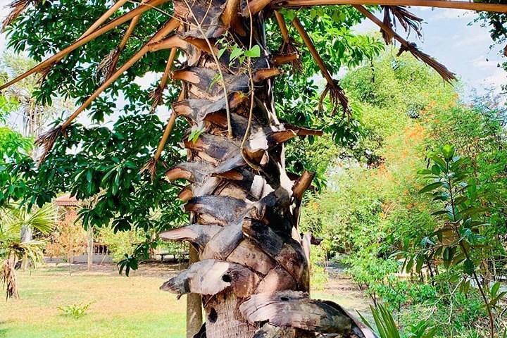 Phnom Penh Vital Discovery-Full Day Tour (Incluindo todos os serviços)