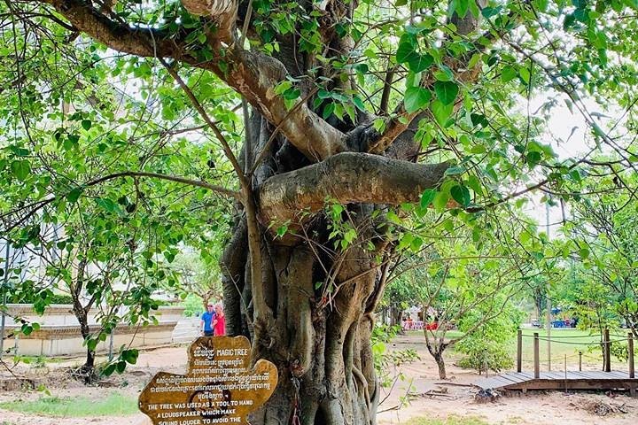 Phnom Penh Vital Discovery-Full Day Tour (Incluindo todos os serviços)