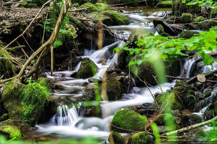 Foresta Nera. Da Baden-Baden a Strasburgo. Due paesi in un giorno