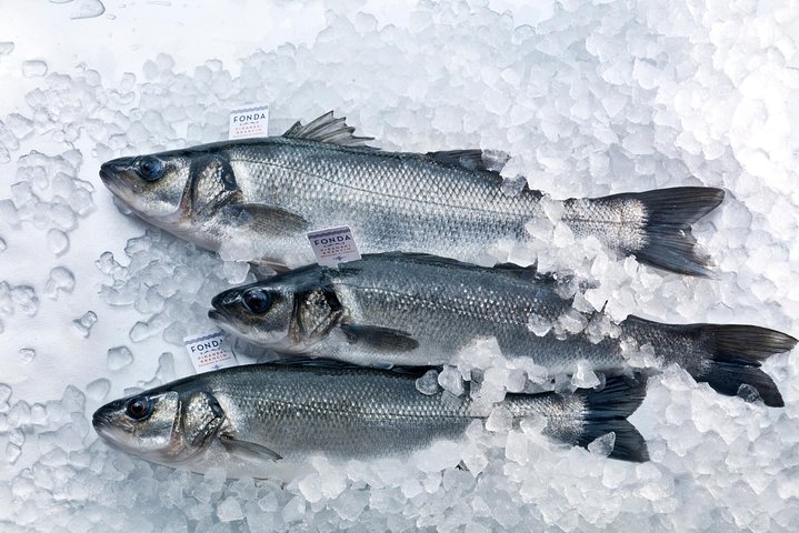 Un Día Inolvidable Con Degustación De Pescado, Vino Y Aceite De Oliva