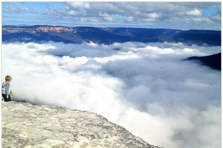 Eksklusiv Blue Mountains Wildlife og Bushwalk tur fra Sydney