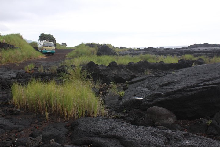 Banana Trip - Tour privato di un'intera giornata a Pico con andata e ritorno da Faial