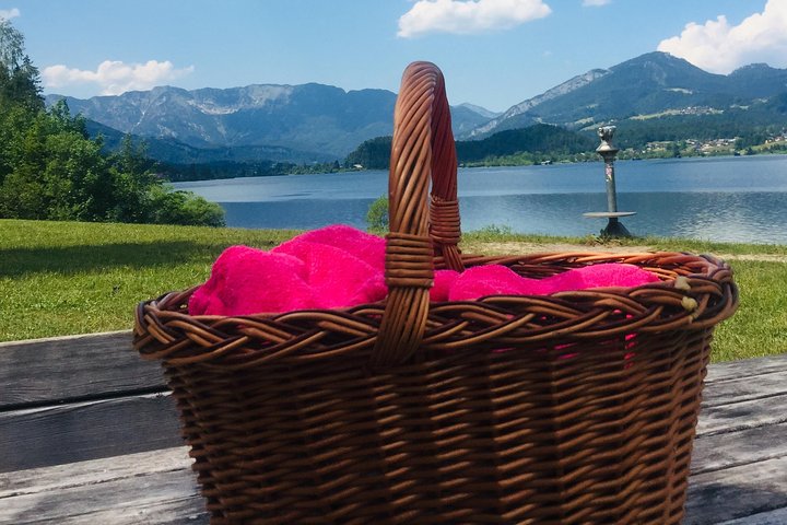 Ab Prag: Privater Tagesausflug in die Hallstätter Alpen mit Picknick am See