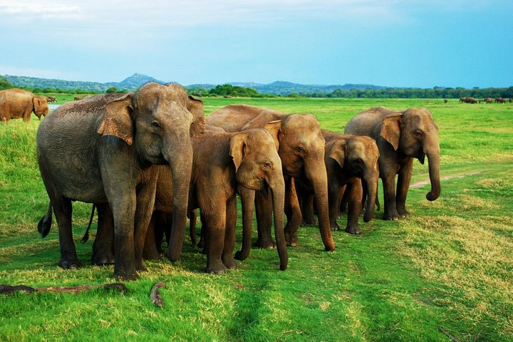 Private Jeep Safari To one of a Best National Park