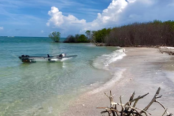 Klar kajakktur i Shell Key Preserve og Tampa Bay-området