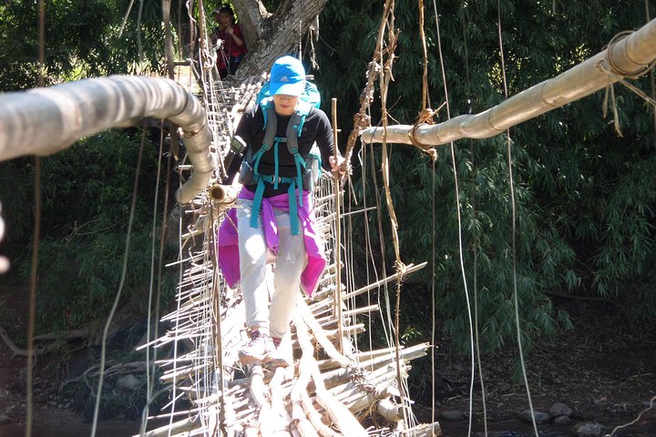 The Wild Explorer - 3 giorni di trekking nella foresta con famiglia e campeggio