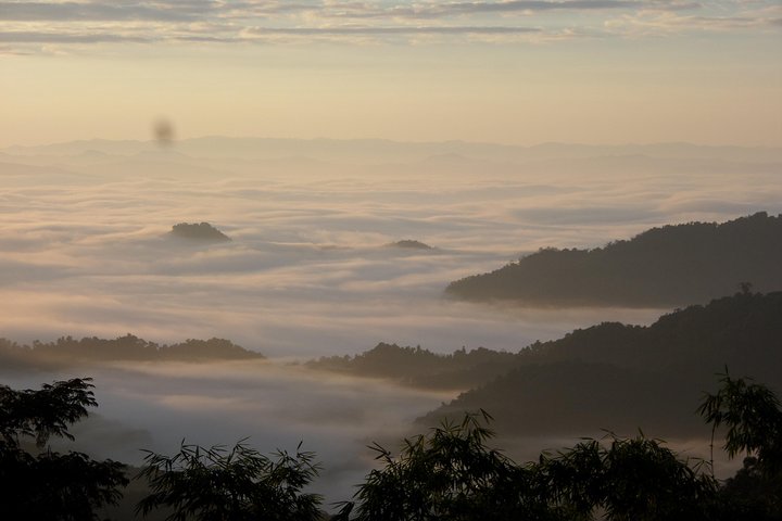 The Wild Explorer - 3 giorni di trekking nella foresta con famiglia e campeggio