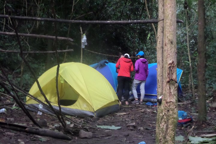 The Wild Explorer - 3 giorni di trekking nella foresta con famiglia e campeggio