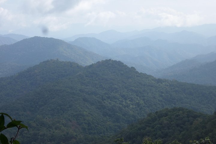 The Wild Explorer - 3 giorni di trekking nella foresta con famiglia e campeggio