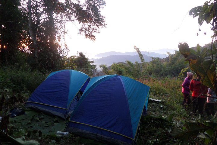 The Wild Explorer - 3 giorni di trekking nella foresta con famiglia e campeggio