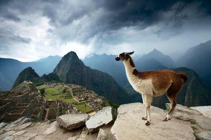 Machu Picchu Entrance Ticket