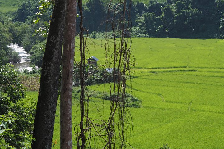 Nalan Trail Kmu Etnische ervaring - 2-daagse bostrek met gastgezin.