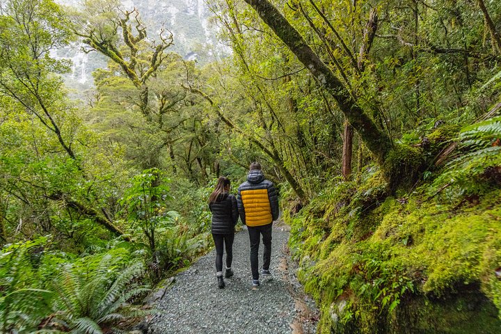 Milford Sound Premium Small Group Tour & Cruise saindo de Queenstown