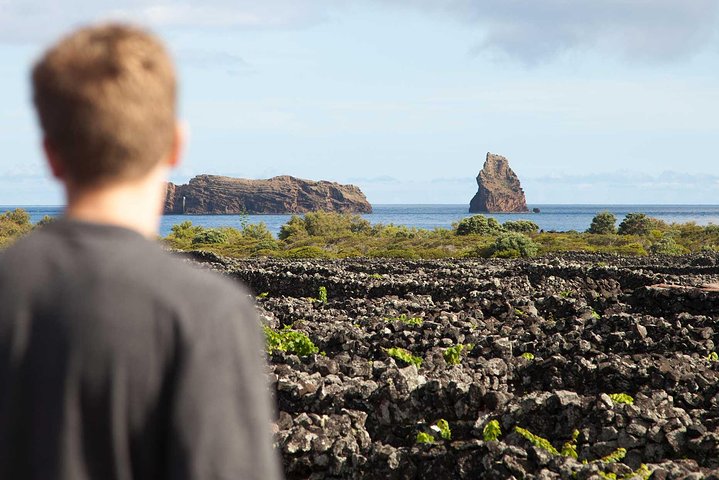 Banana Trip - Tour privato di un'intera giornata a Pico con andata e ritorno da Faial