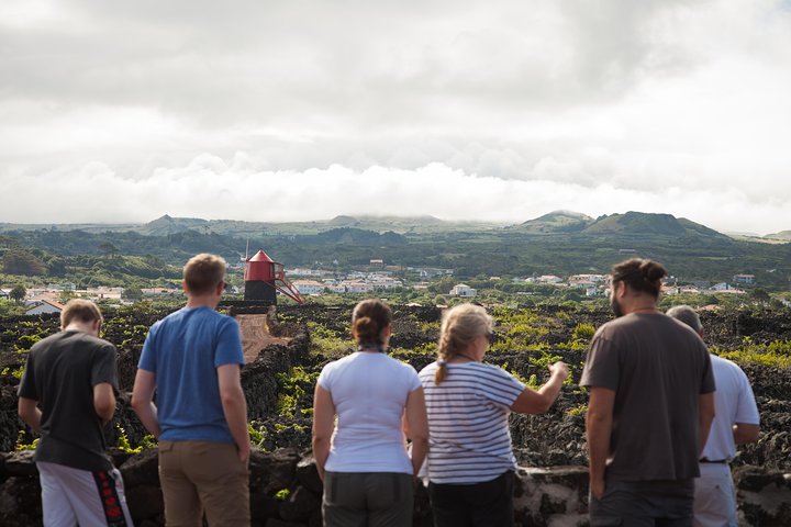 Banana Trip - Tour privato di un'intera giornata a Pico con andata e ritorno da Faial