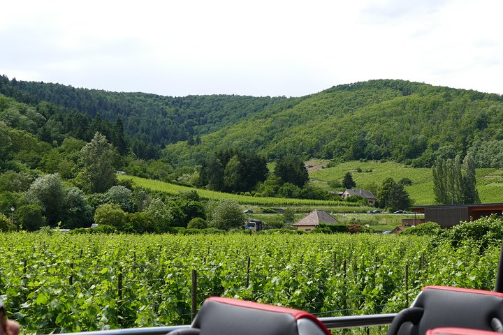 Viagem de um dia: Colmar, Haut-Koenigsbourg, Riquewihr e Kaysersberg